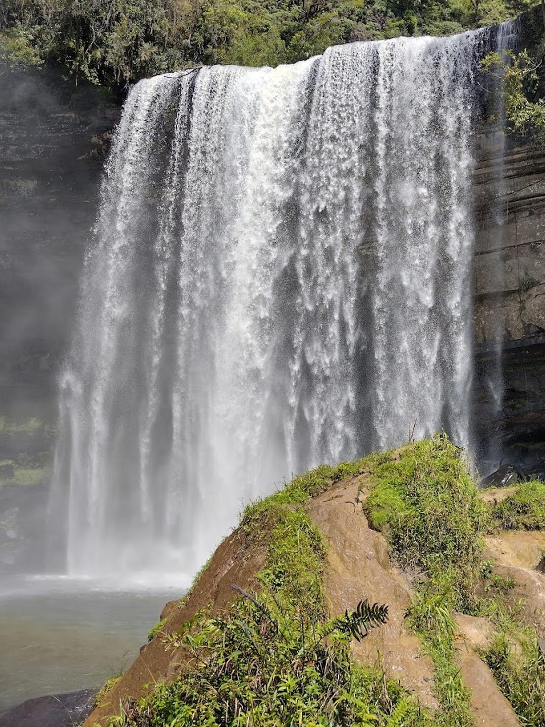 Cachoeira em meio à mata de Rio dos Cedros
